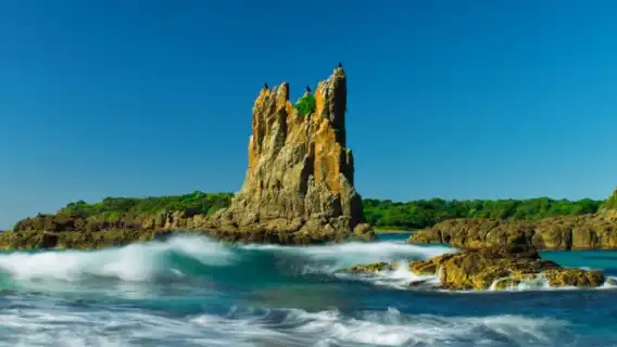 雪梨臥龍崗市一日遊【藍色海洋路丨凱阿馬噴水洞丨可選袋鼠谷】