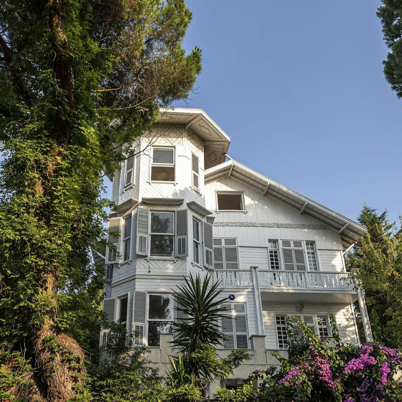 Istanbul: Escursione di un giorno alle Isole dei Principi da Istanbul, pranzo + trasferimento