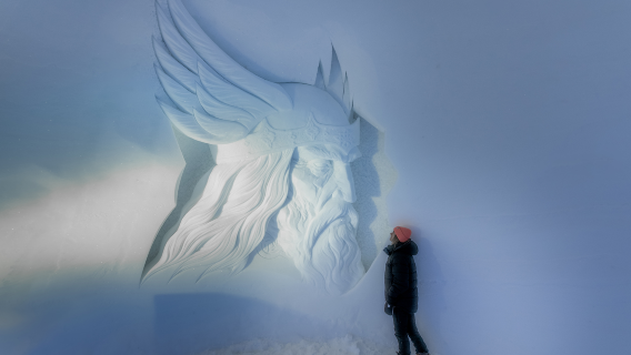 Parc enneigé de Tromsø en Norvège + activités optionnelles telles que les promenades en traîneau à chiens, les promenades en traîneau à rennes, les activités en pleine nature, la sculpture sur neige, les randonnées en raquettes, l'observation des rennes et la motoneige.