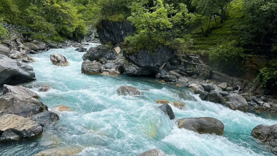 雅安