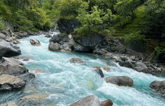 二郎山喇叭河一日遊【2-8人獨立專車&含門票&上門接送】
