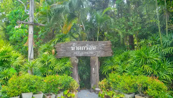ครึ่งวันผจญภัยสระมรกตและน้ำพุร้อนธรรมชาติจากกระบี่