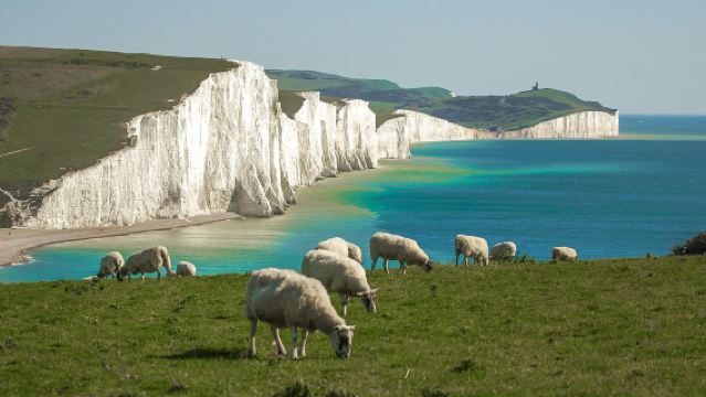 Round-trip to London, UK + Dover White Cliffs + Dover Coastline [Customizable Popular Routes Across the Region]