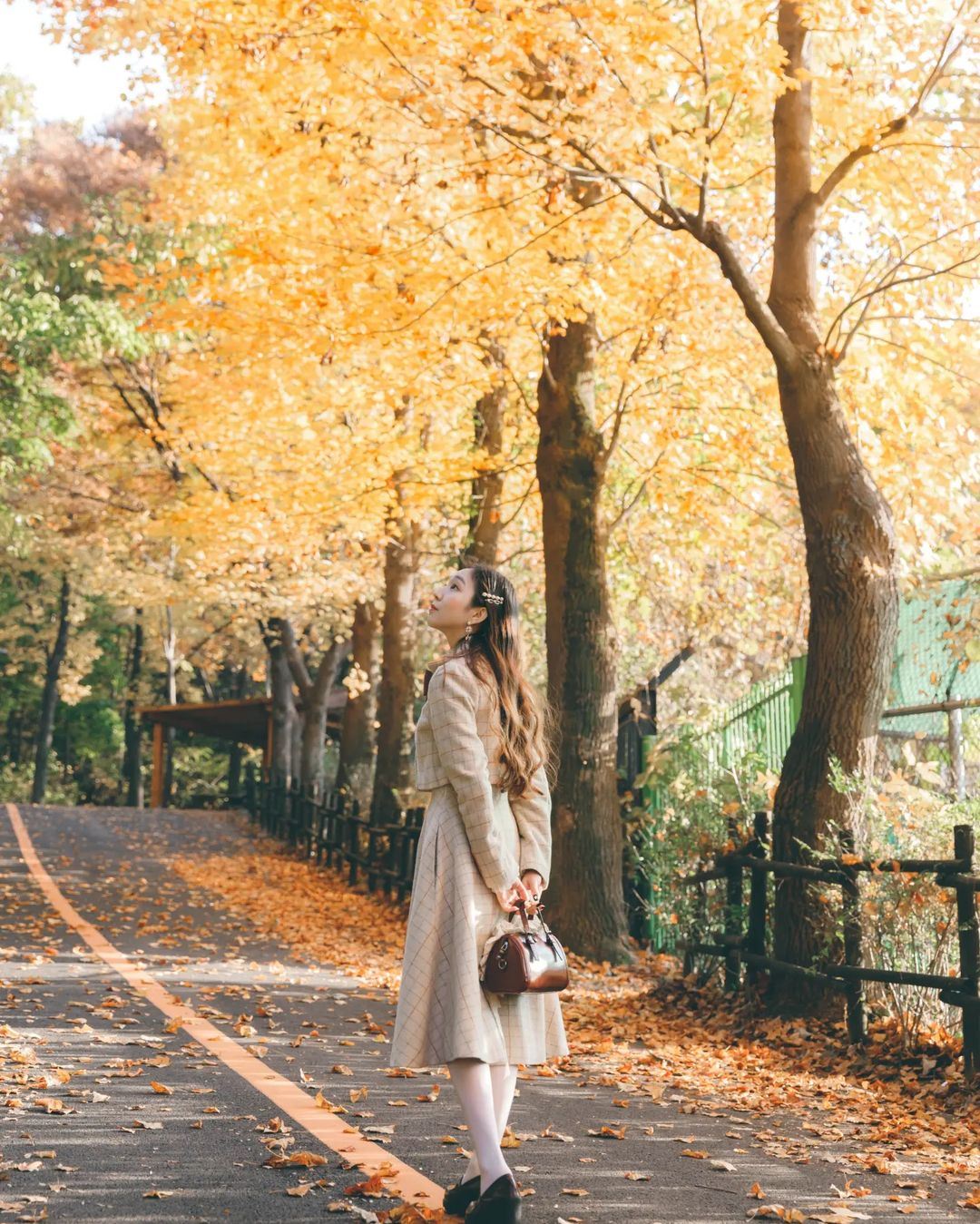 智利瓦爾帕萊索Trip Moments【包車兼嚮導翻譯兼跟拍/婚紗寫真商業攝影微電影/旅行攻略】