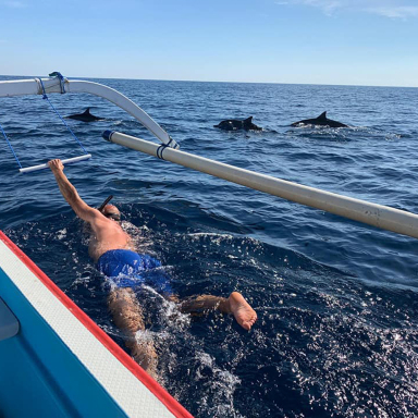 Bali: Petualangan Menyaksikan Lumba-Lumba saat Matahari Terbit & Pengalaman Snorkeling