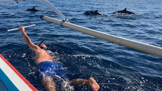 Bali: Sunrise Dolphin Adventure & Snorkeling Experience