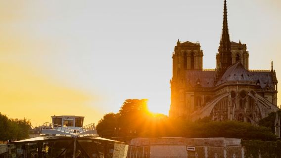 Seine River: Lunch Cruise by Bateaux Mouches