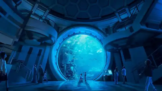 從杜拜出發：阿布達比謝赫扎耶德大清真寺+海洋世界一日遊