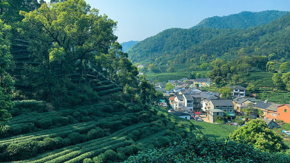 HangzhouTours