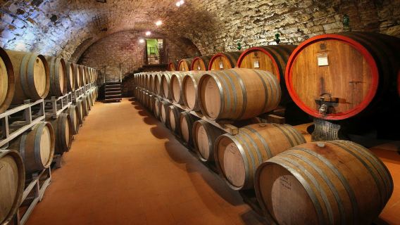 Chianti Region: Day Trip from Florence + Wine Estate Visit