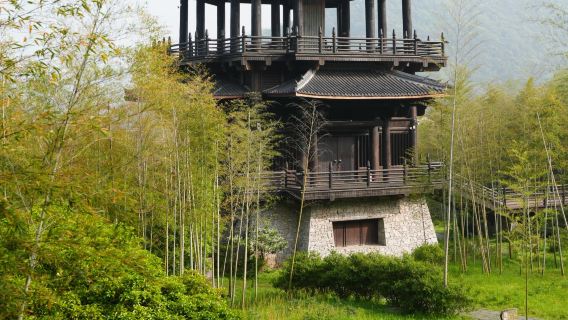 Huzhou-Tang Dynasty Tribute Tea House + Tribute Tea Ancient Road + Tangchao Twelve Squares | private charter | Multilingual guide