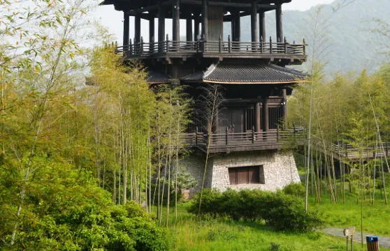 湖州-大唐貢茶院+貢茶古道+唐潮十二坊｜包車｜多語種導遊