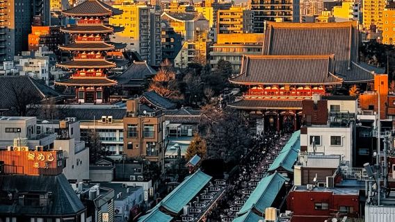 東京日遊