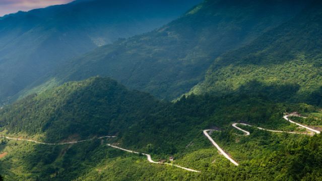 坪壩營一日遊【俯瞰曠古森林，享受清新空氣】