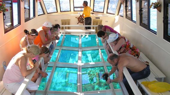 Glass-bottom boat tour from Sharm El Sheikh
