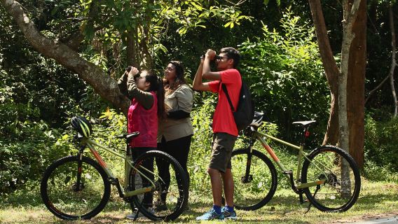 Bandar PenawarTours