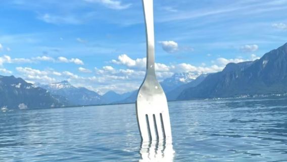 Schweiz + Tagesausflug nach Gruyères/Chaplin, Lavaux Weinberge/Schloss Chillon