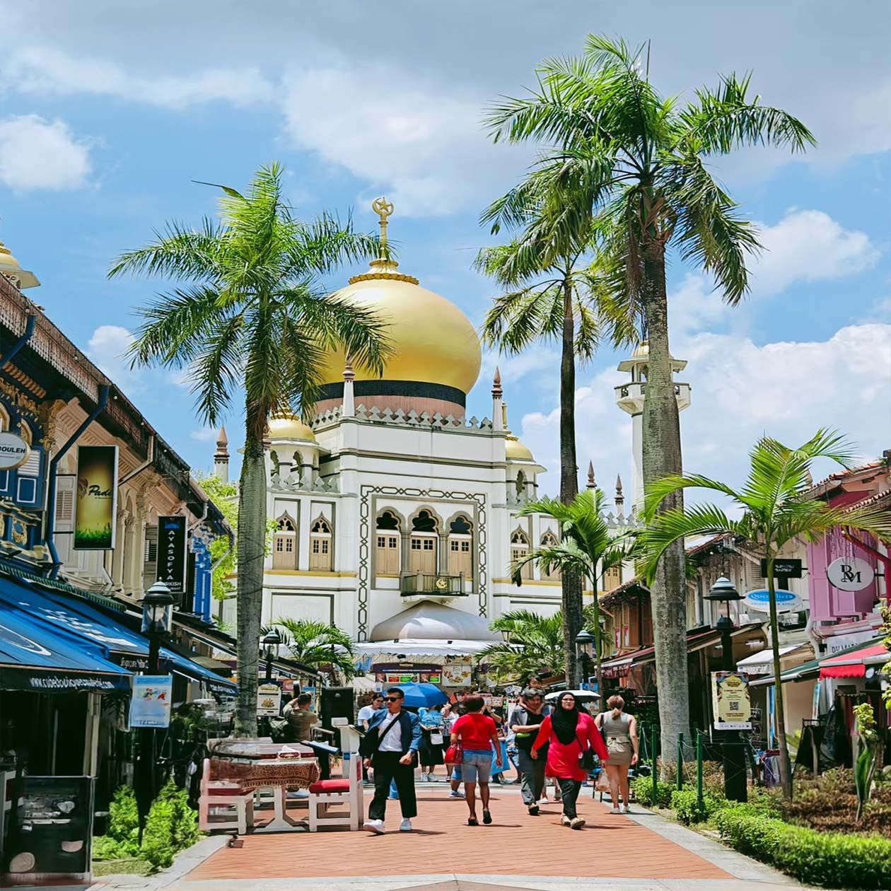 新加坡機場接駁 定制包車遊 中文管家 全境景點均可安排
