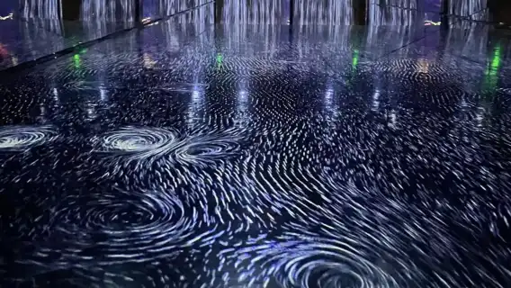 澳門teamlab超自然空間(專車接送,自由選擇時間)