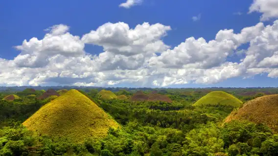 Bohol Island Landmark Highlights 1-day Tour: Chocolate Hills + Tarsier + Loboc River and More