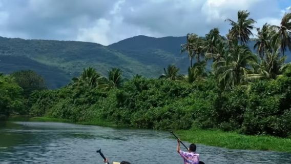 日月灣漿板4小時【日月灣椰林漿板 專業教練陪同 送照片影片 摘椰子體驗抓雞】