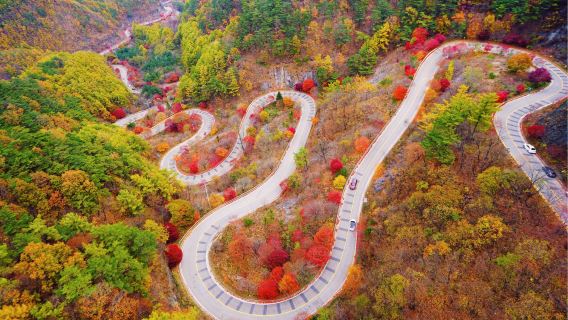 Berangkat dari Seoul: Permata Tersembunyi Korea - Kuil Danyang Guinsa + Gua Ondal