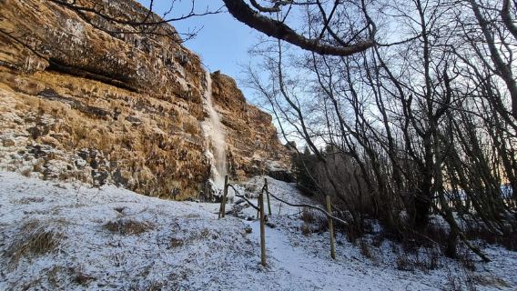 Desde Reikiavik: explora las cascadas de la costa sur