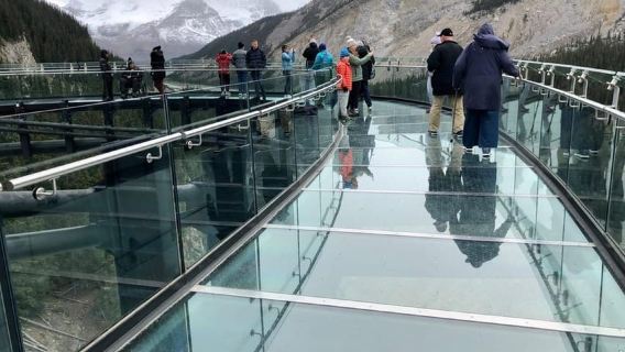 Banff:Crowfoot Glacier, 4 Lakes and Johnston Canyon tour