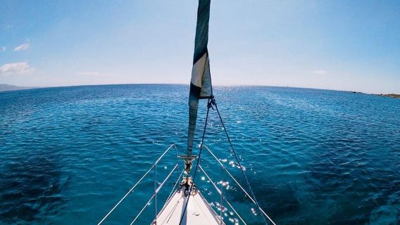 Asinara: Full Day Sailboat Excursion from Stintino