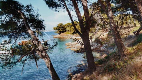 Zadar : croisière sur l'île avec boissons, plongée avec tuba et kayak
