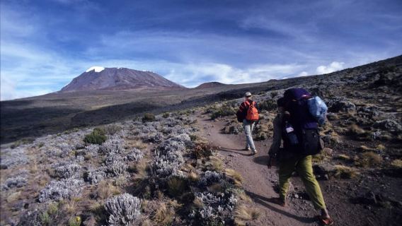 Moshi:Mount Kilimanjaro Day Hike with Mandara Hut Trek