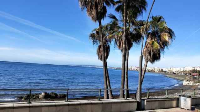 Visite à pied d'Estepona : histoire, culture et gastronomie de la ville