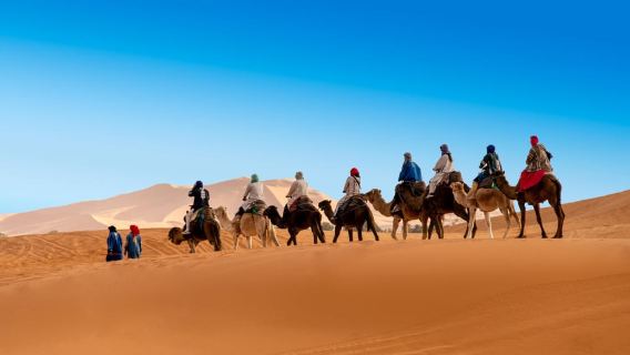 Douz: Camel Ride in the Sahara Desert with Hotel Transfers