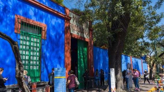 CDMX: Coyoacán, UNAM, Xochimilco và Bảo tàng Frida Kahlo tùy chọn