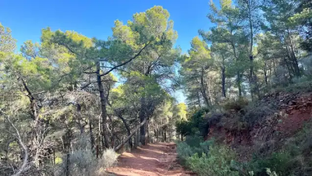 Valencia: Sierra Calderona & El Garbí Mountain hiking Tour