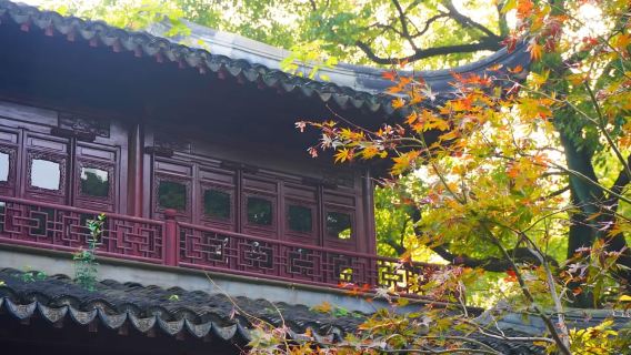 Nieuwjaars Lantaarnfestival--Shanghai: Toegangsticket voor Yu Garden