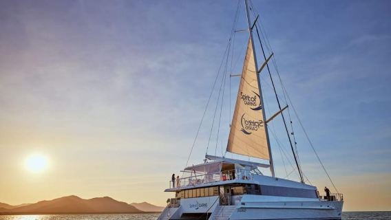 Cairns: City Sights Tour with Evening Dinner Cruise