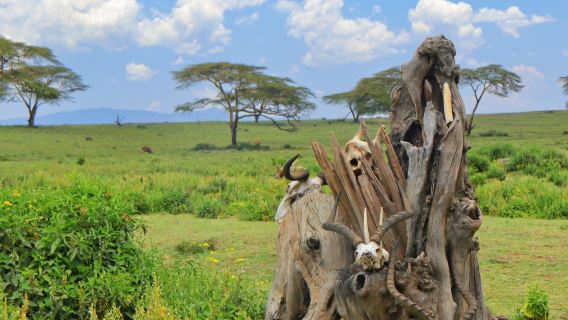 肯尼亞奈洛比一日遊【地獄之門探險與湖光山色線】