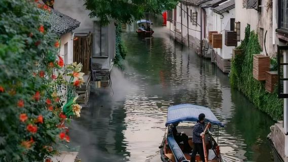 Servizio visita guidata dal vivo per Tongli/Zhouzhuang - esperienza privata senza gruppo - disponibile in cinese, inglese, coreano, giapponese, spagnolo e altre lingue - tour personalizzato delle attrazioni