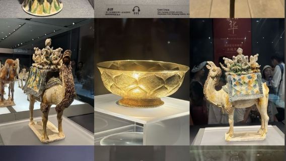 陝西歷史博物館珍寶館（含基本館）門票+深度人工講解
