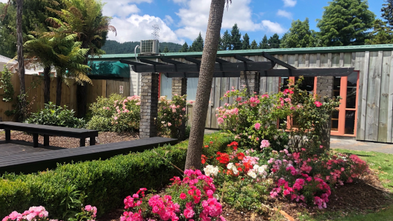 New Zealand 1-day tour: Agrodome + Wai-O-Tapu Thermal Wonderland