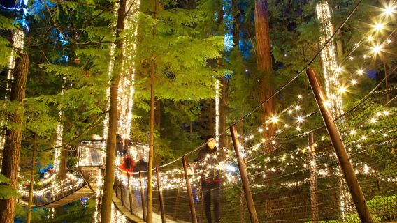 加拿大溫哥華吊橋公園+格蘭維爾島公共市場+煤氣鎮一日遊