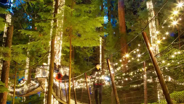 加拿大溫哥華吊橋公園+格蘭維爾島公共市場+植物園一日遊