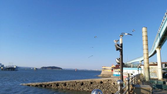 韓國首爾仁川月尾島-中華街-松島中央公園-G塔中文包車一日遊