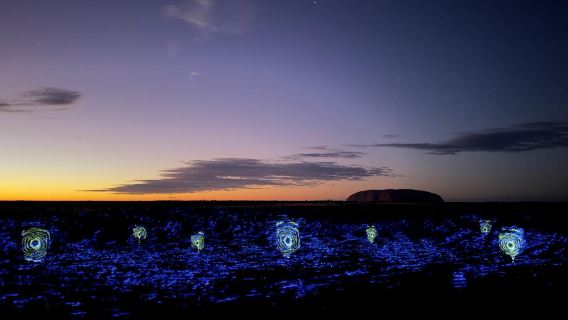 Sunrise Tour at Uluru in Northern Territory [Includes Field of Light Art Installation, Hotel Transfers, Breakfast]