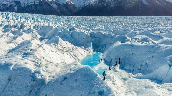 페리토 모레노 빙하: 아이스 트레킹 + 왕복 교통편