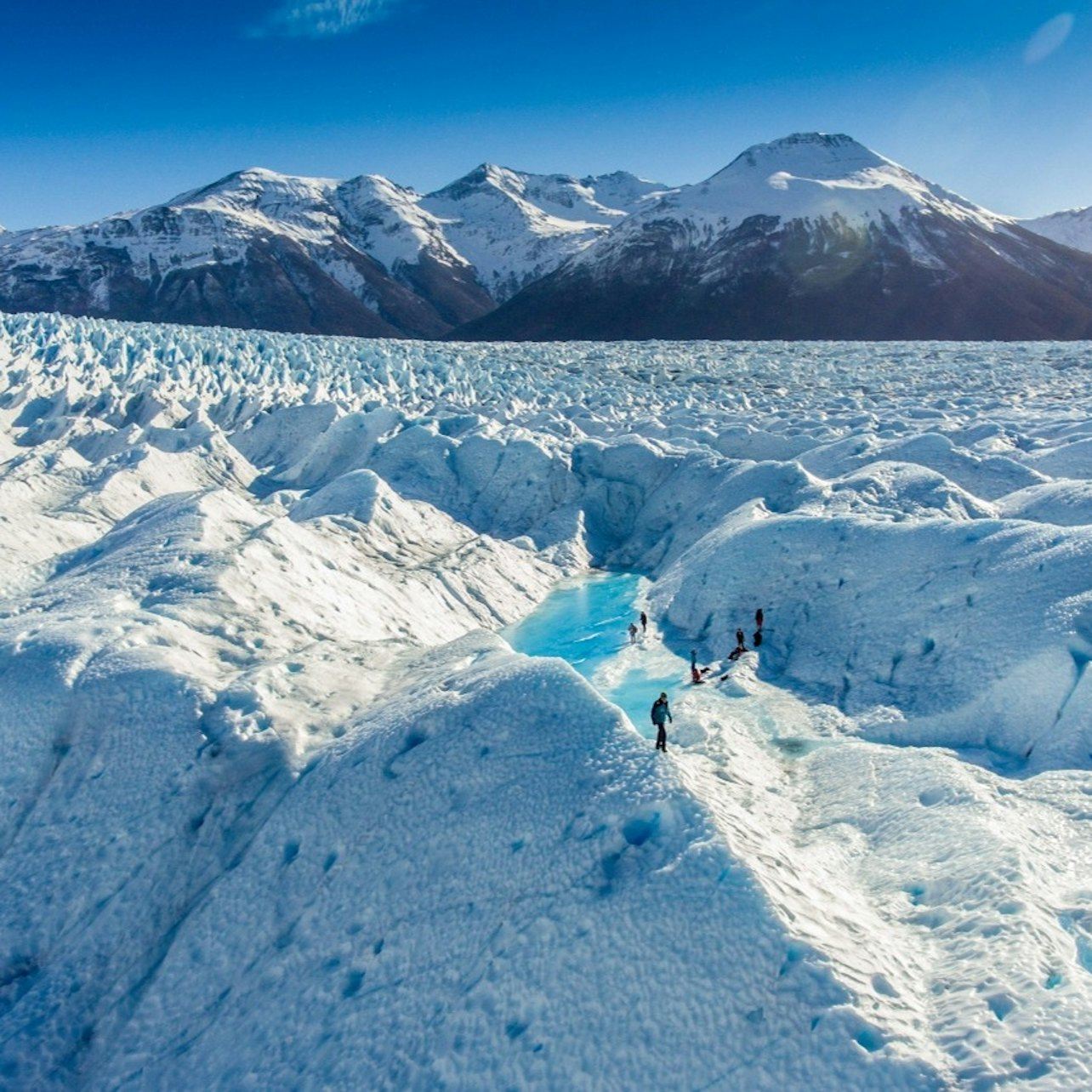 Ghiacciaio Perito Moreno: Ice Trek + Trasferimento di andata e ritorno