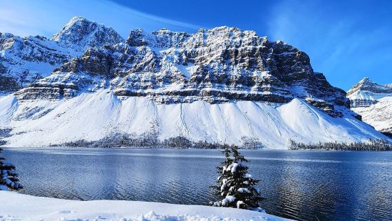 Banff National Park + Surprise Corner Viewpoint + Bow Falls + Banff Upper Hot Springs