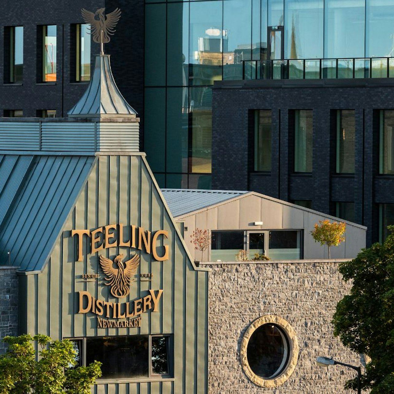 Distilleria di whisky Teeling: visita guidata + degustazione