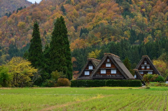 【濃飛巴士】高山 來回 白川鄉 高速巴士車票